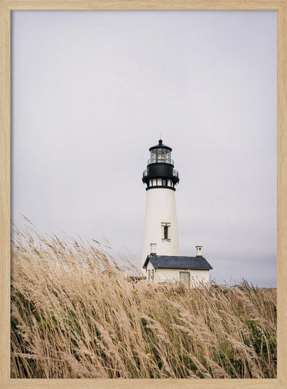 A framed photograph of a white lighthouse with a black top, set against a muted, overcast sky. The foreground is filled with tall, wild beige grass blowing in the wind, partially obscuring the base of the lighthouse. Decor