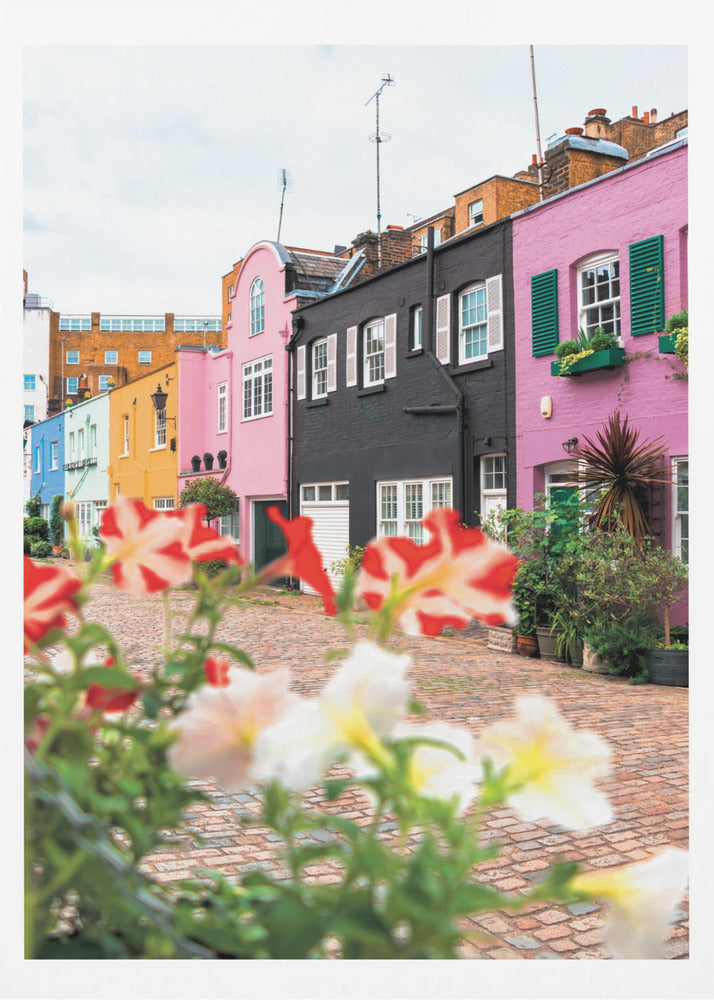 Paddington Mews - Poster / Art Print