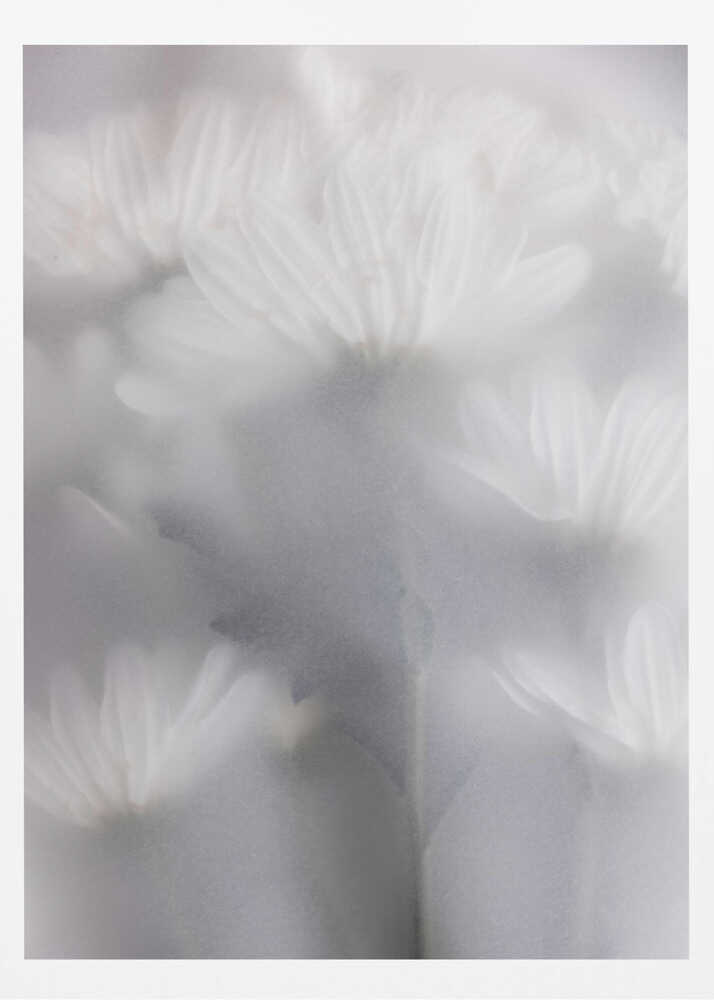 Blurred Flowers 6 - Poster / Art Print