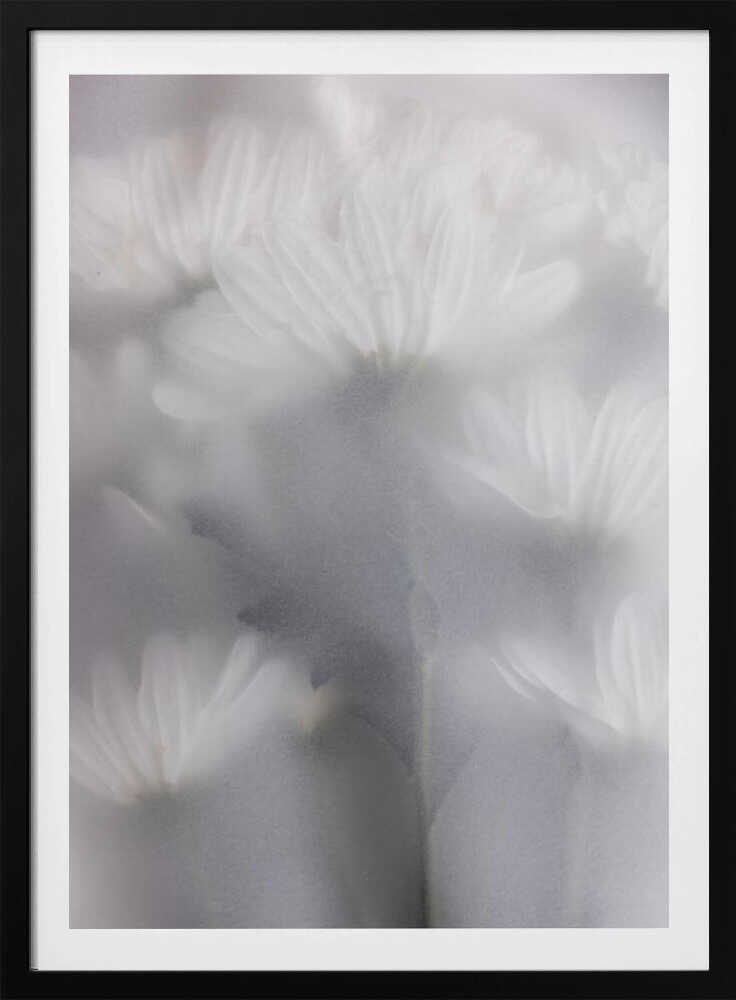 Blurred Flowers 6 - Poster / Art Print