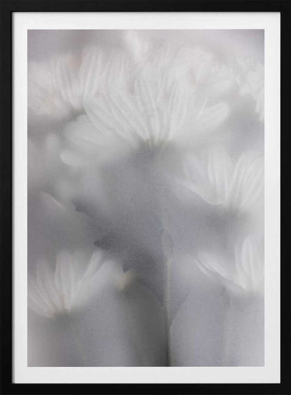 Blurred Flowers 6 - Poster / Art Print