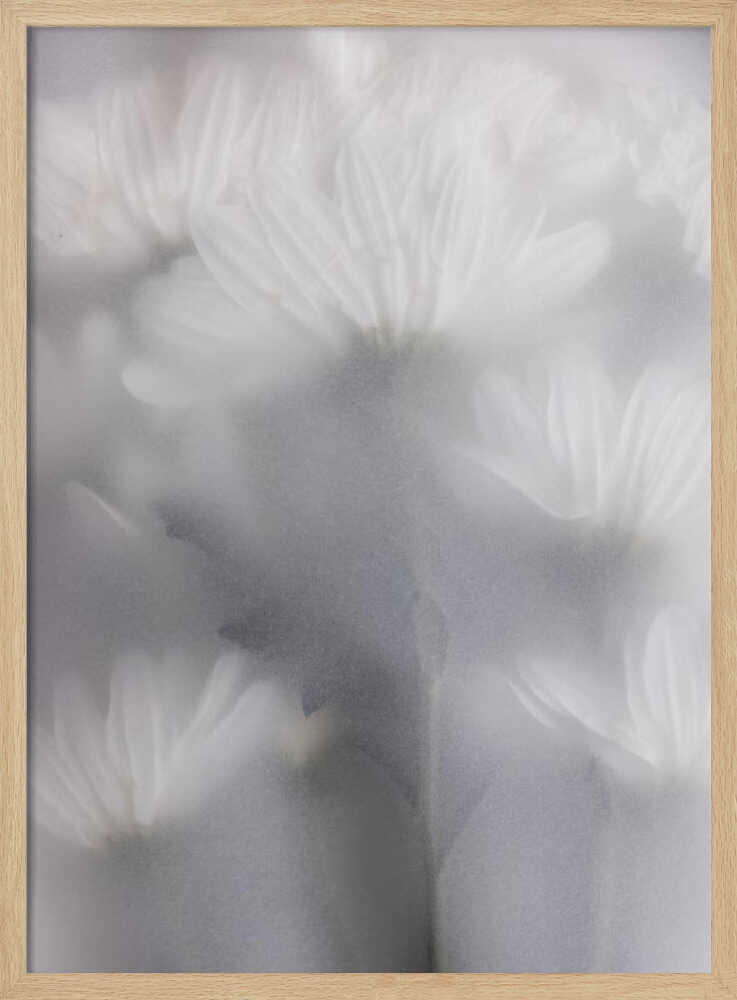 Blurred Flowers 6 - Poster / Art Print