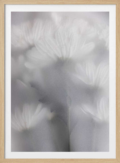 Blurred Flowers 6 - Poster / Art Print