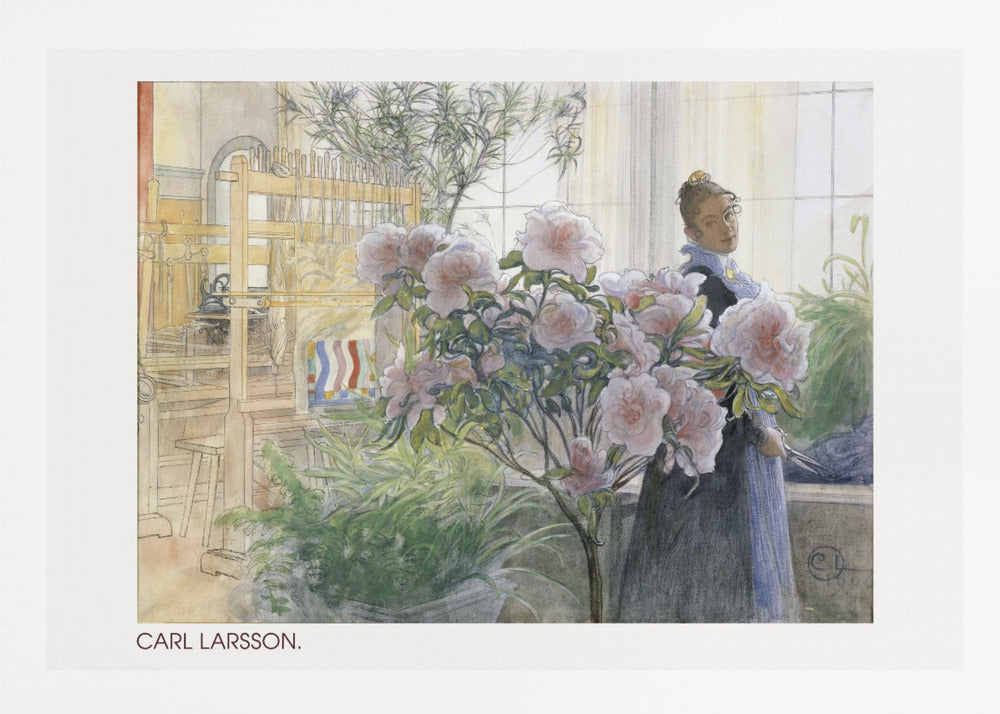A vintage watercolor painting by Carl Larsson depicting a woman standing indoors beside a large flowering pink azalea bush. In the background, a sunlit room contains a wooden weaving loom and other potted plants. Decor