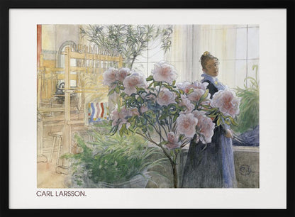 A vintage watercolor painting by Carl Larsson depicting a woman standing indoors beside a large flowering pink azalea bush. In the background, a sunlit room contains a wooden weaving loom and other potted plants. Decor