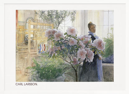 A vintage watercolor painting by Carl Larsson depicting a woman standing indoors beside a large flowering pink azalea bush. In the background, a sunlit room contains a wooden weaving loom and other potted plants. Decor