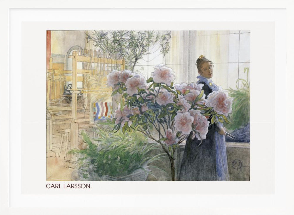A vintage watercolor painting by Carl Larsson depicting a woman standing indoors beside a large flowering pink azalea bush. In the background, a sunlit room contains a wooden weaving loom and other potted plants. Decor