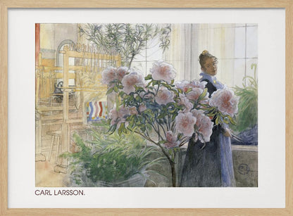 A vintage watercolor painting by Carl Larsson depicting a woman standing indoors beside a large flowering pink azalea bush. In the background, a sunlit room contains a wooden weaving loom and other potted plants. Decor