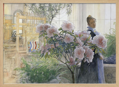 A vintage illustration by Carl Larsson titled 'Azalea', depicting a woman in a dark dress standing in a sunlit room with a large wooden weaving loom. She is partially obscured by a large, blooming pink azalea bush in the foreground. Poster