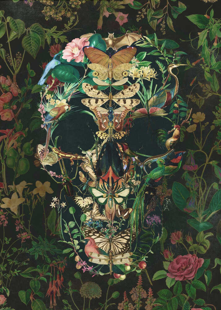 An intricate artwork of a human skull formed entirely from a collage of colorful flora and fauna, including butterflies, birds, insects, and flowers, set against a dark, dense botanical background. Wall Art
