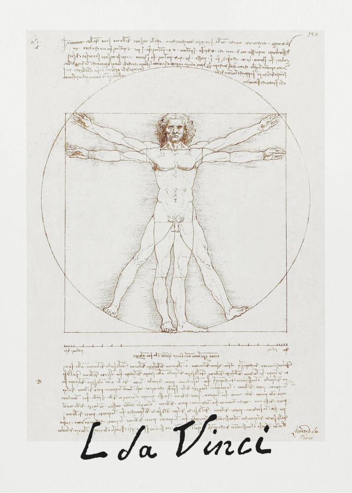 A framed print of Leonardo da Vinci's 'Vitruvian Man.' The famous sepia-toned sketch on aged paper shows a nude male figure in two poses, circumscribed by a circle and a square, with handwritten notes above and below. The artist's name is written at the bottom. Decor