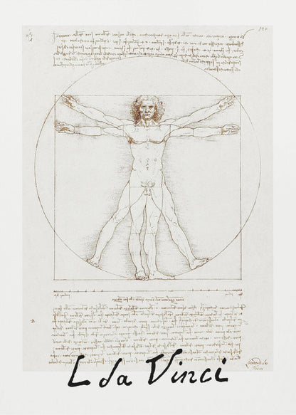 A framed print of Leonardo da Vinci's 'Vitruvian Man.' The famous sepia-toned sketch on aged paper shows a nude male figure in two poses, circumscribed by a circle and a square, with handwritten notes above and below. The artist's name is written at the bottom. Decor