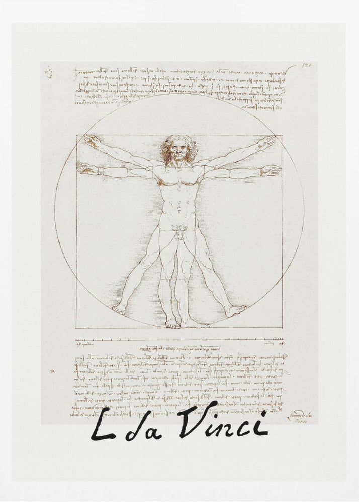 A framed print of Leonardo da Vinci's 'Vitruvian Man.' The famous sepia-toned sketch on aged paper shows a nude male figure in two poses, circumscribed by a circle and a square, with handwritten notes above and below. The artist's name is written at the bottom. Decor