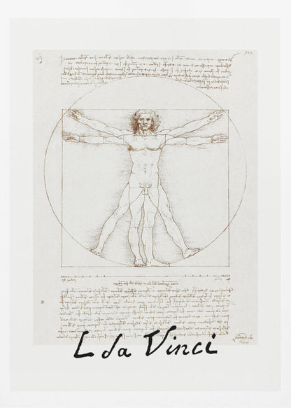 A framed print of Leonardo da Vinci's 'Vitruvian Man.' The famous sepia-toned sketch on aged paper shows a nude male figure in two poses, circumscribed by a circle and a square, with handwritten notes above and below. The artist's name is written at the bottom. Decor