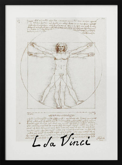 A framed print of Leonardo da Vinci's 'Vitruvian Man.' The famous sepia-toned sketch on aged paper shows a nude male figure in two poses, circumscribed by a circle and a square, with handwritten notes above and below. The artist's name is written at the bottom. Decor