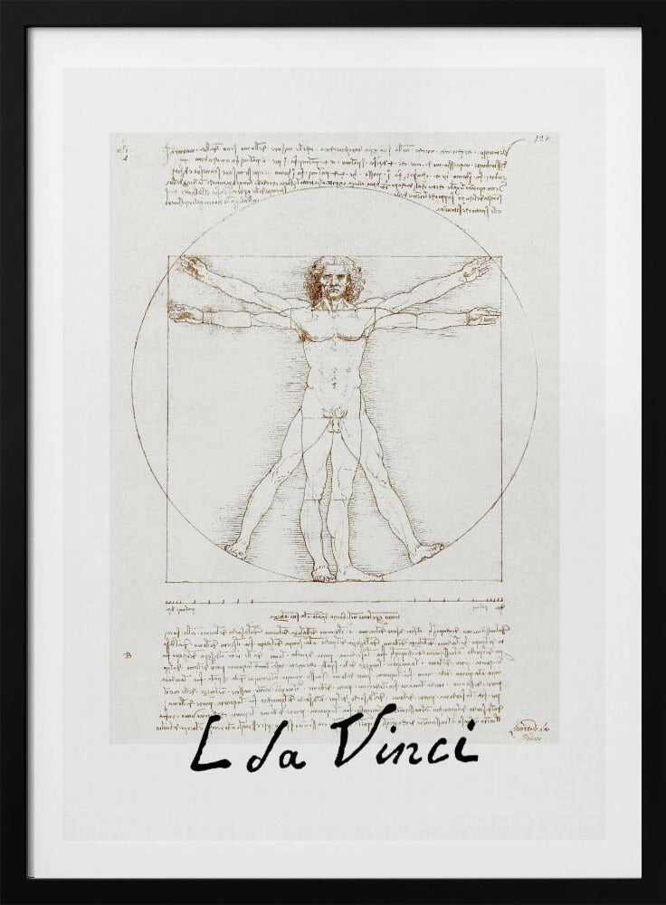 A framed print of Leonardo da Vinci's 'Vitruvian Man.' The famous sepia-toned sketch on aged paper shows a nude male figure in two poses, circumscribed by a circle and a square, with handwritten notes above and below. The artist's name is written at the bottom. Decor