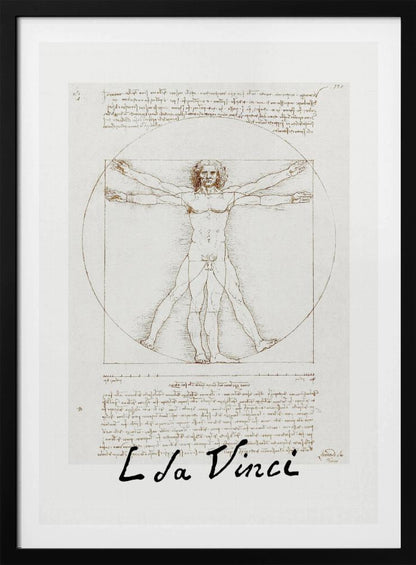 A framed print of Leonardo da Vinci's 'Vitruvian Man.' The famous sepia-toned sketch on aged paper shows a nude male figure in two poses, circumscribed by a circle and a square, with handwritten notes above and below. The artist's name is written at the bottom. Decor
