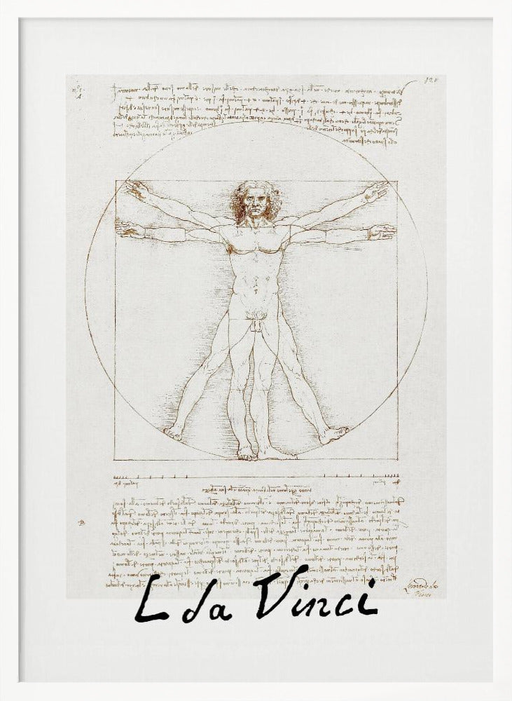 A framed print of Leonardo da Vinci's 'Vitruvian Man.' The famous sepia-toned sketch on aged paper shows a nude male figure in two poses, circumscribed by a circle and a square, with handwritten notes above and below. The artist's name is written at the bottom. Decor