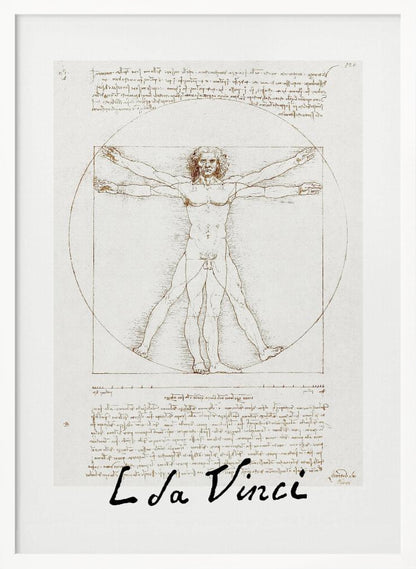 A framed print of Leonardo da Vinci's 'Vitruvian Man.' The famous sepia-toned sketch on aged paper shows a nude male figure in two poses, circumscribed by a circle and a square, with handwritten notes above and below. The artist's name is written at the bottom. Decor
