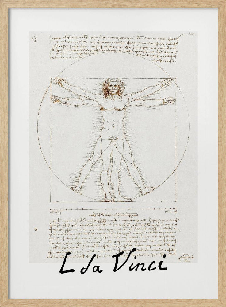 A framed print of Leonardo da Vinci's 'Vitruvian Man.' The famous sepia-toned sketch on aged paper shows a nude male figure in two poses, circumscribed by a circle and a square, with handwritten notes above and below. The artist's name is written at the bottom. Decor