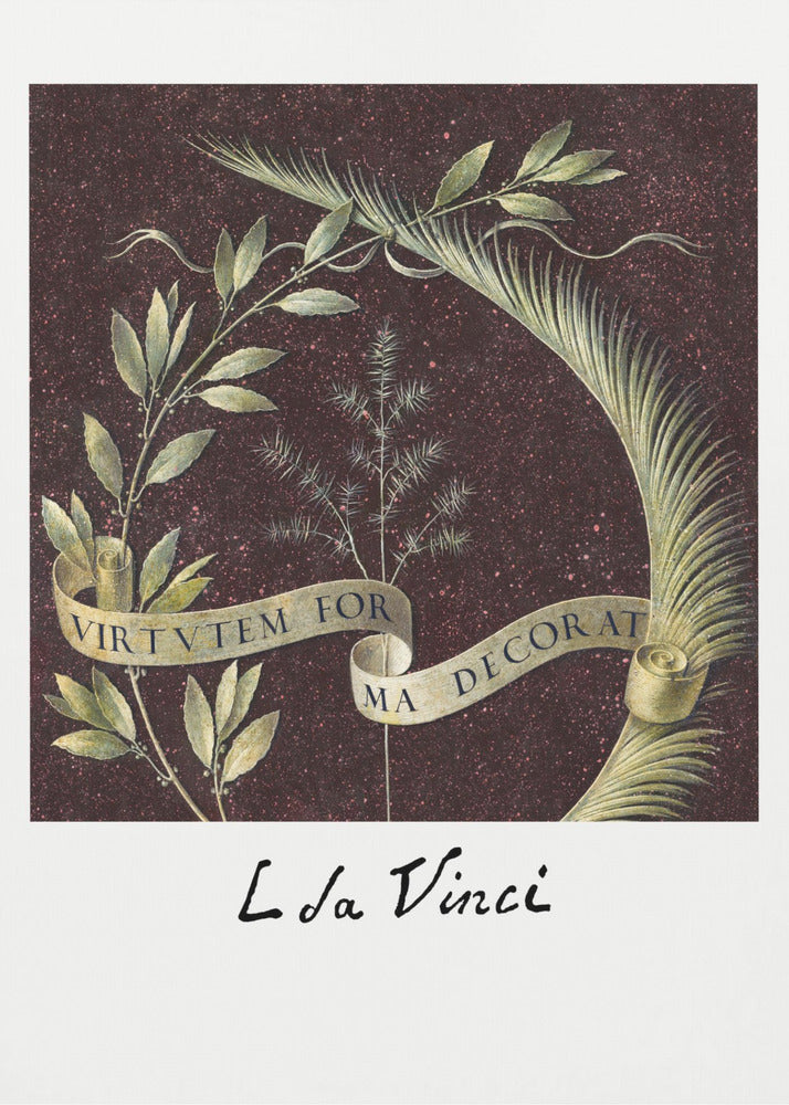 A classic art print by Leonardo da Vinci featuring a laurel branch and a palm frond against a dark, speckled maroon background. A beige ribbon weaves through the foliage with the Latin motto 'VIRTUTEM FORMA DECORAT'. The artist's signature 'L da Vinci' is written underneath on a white border. The artwork is presented in a black frame. Print