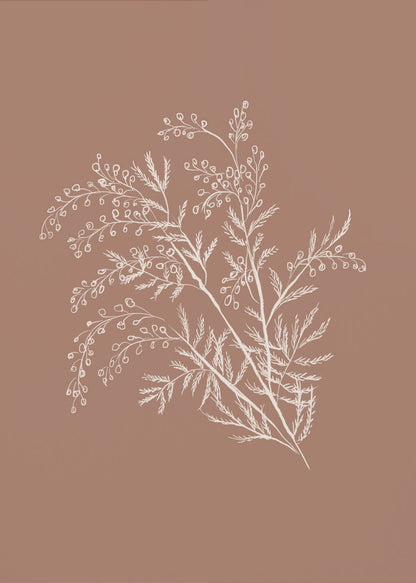 A minimalist botanical artwork featuring a white line drawing of a delicate plant sprig with feathery leaves and small berries against a solid dusty rose background, enclosed in a simple black frame. Artwork