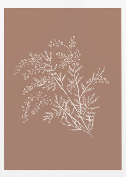 A minimalist botanical artwork featuring a white line drawing of a delicate plant sprig with feathery leaves and small berries against a solid dusty rose background, enclosed in a simple black frame. Artwork
