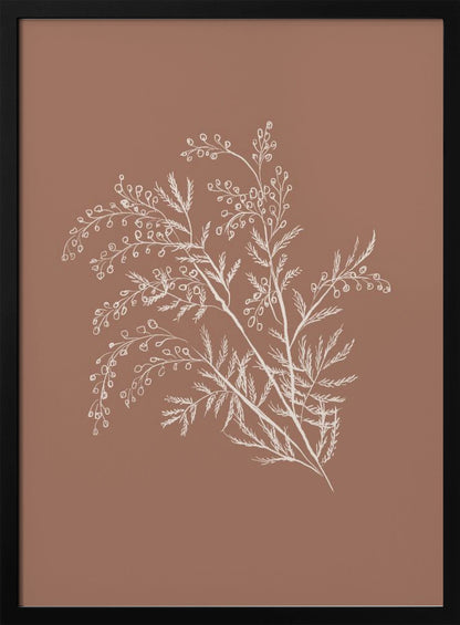 A minimalist botanical artwork featuring a white line drawing of a delicate plant sprig with feathery leaves and small berries against a solid dusty rose background, enclosed in a simple black frame. Artwork