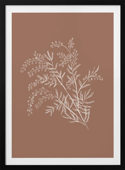 A minimalist botanical artwork featuring a white line drawing of a delicate plant sprig with feathery leaves and small berries against a solid dusty rose background, enclosed in a simple black frame. Artwork