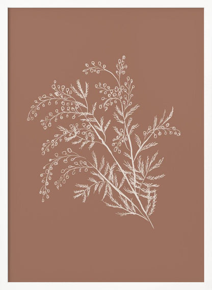 A minimalist botanical artwork featuring a white line drawing of a delicate plant sprig with feathery leaves and small berries against a solid dusty rose background, enclosed in a simple black frame. Artwork