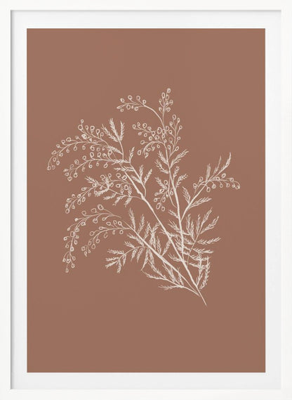 A minimalist botanical artwork featuring a white line drawing of a delicate plant sprig with feathery leaves and small berries against a solid dusty rose background, enclosed in a simple black frame. Artwork