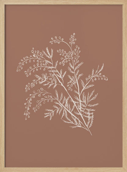 A minimalist botanical artwork featuring a white line drawing of a delicate plant sprig with feathery leaves and small berries against a solid dusty rose background, enclosed in a simple black frame. Artwork