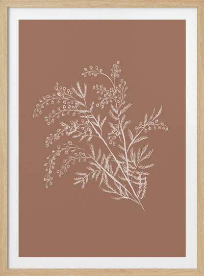 A minimalist botanical artwork featuring a white line drawing of a delicate plant sprig with feathery leaves and small berries against a solid dusty rose background, enclosed in a simple black frame. Artwork