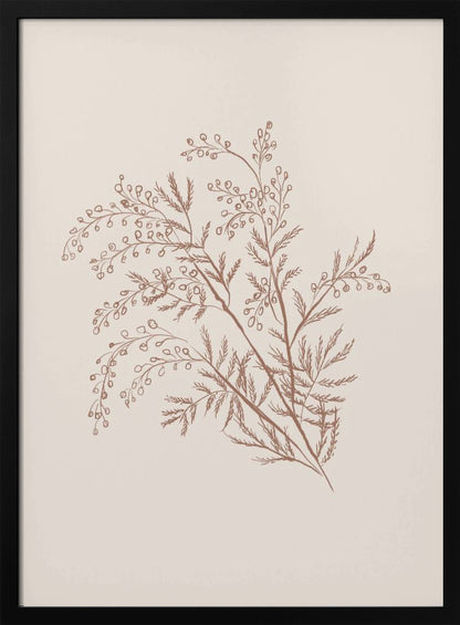A minimalist botanical illustration of a delicate plant sprig with feathery leaves and small berries, rendered in reddish-brown ink on a light beige background, presented in a simple black frame. Print