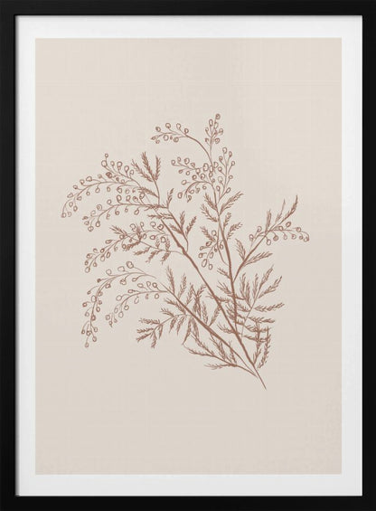 A minimalist botanical illustration of a delicate plant sprig with feathery leaves and small berries, rendered in reddish-brown ink on a light beige background, presented in a simple black frame. Print