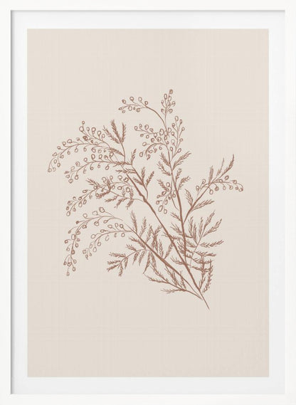 A minimalist botanical illustration of a delicate plant sprig with feathery leaves and small berries, rendered in reddish-brown ink on a light beige background, presented in a simple black frame. Print