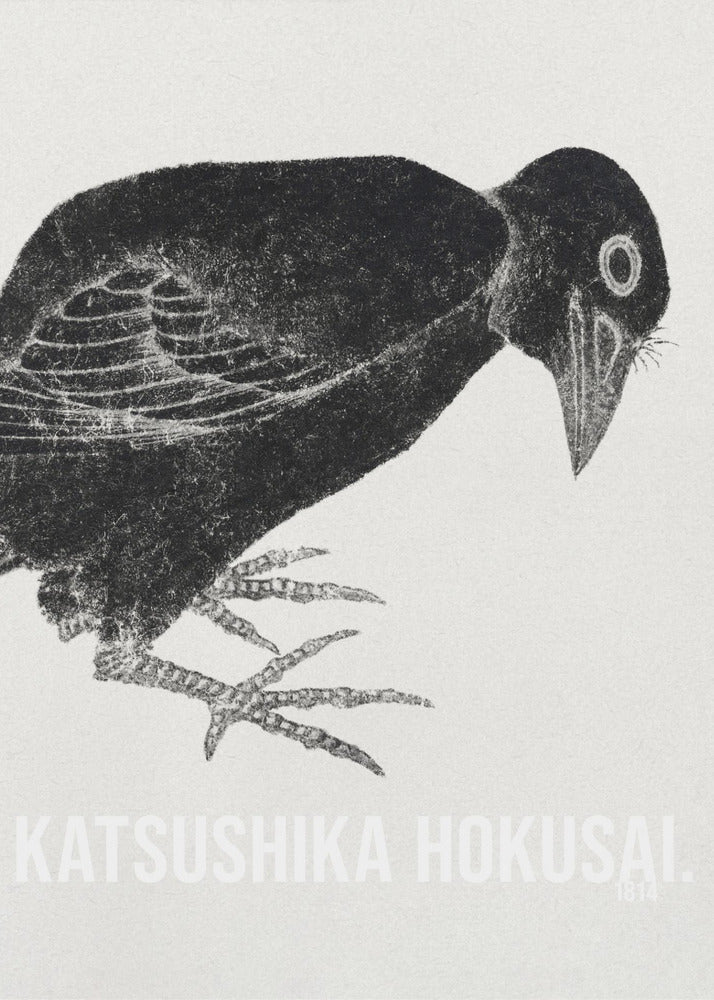 A black and white Japanese woodblock print by Katsushika Hokusai from 1814. The artwork features a stylized black crow with a textured, inky appearance, bending its head down against a light, grainy background. The piece is framed in black. Decor