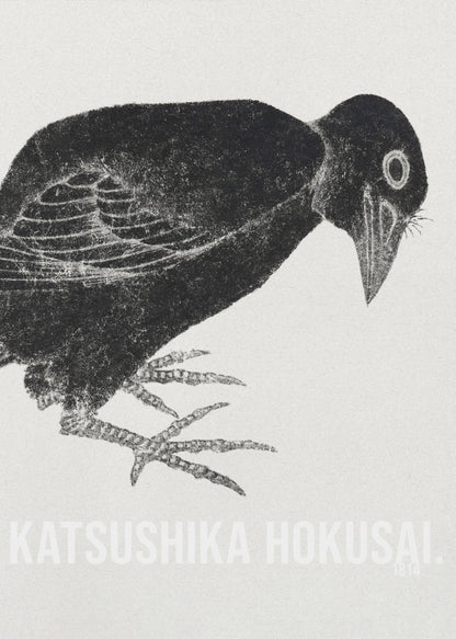A black and white Japanese woodblock print by Katsushika Hokusai from 1814. The artwork features a stylized black crow with a textured, inky appearance, bending its head down against a light, grainy background. The piece is framed in black. Decor