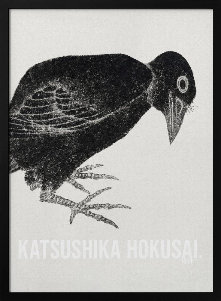 A black and white Japanese woodblock print by Katsushika Hokusai from 1814. The artwork features a stylized black crow with a textured, inky appearance, bending its head down against a light, grainy background. The piece is framed in black. Decor