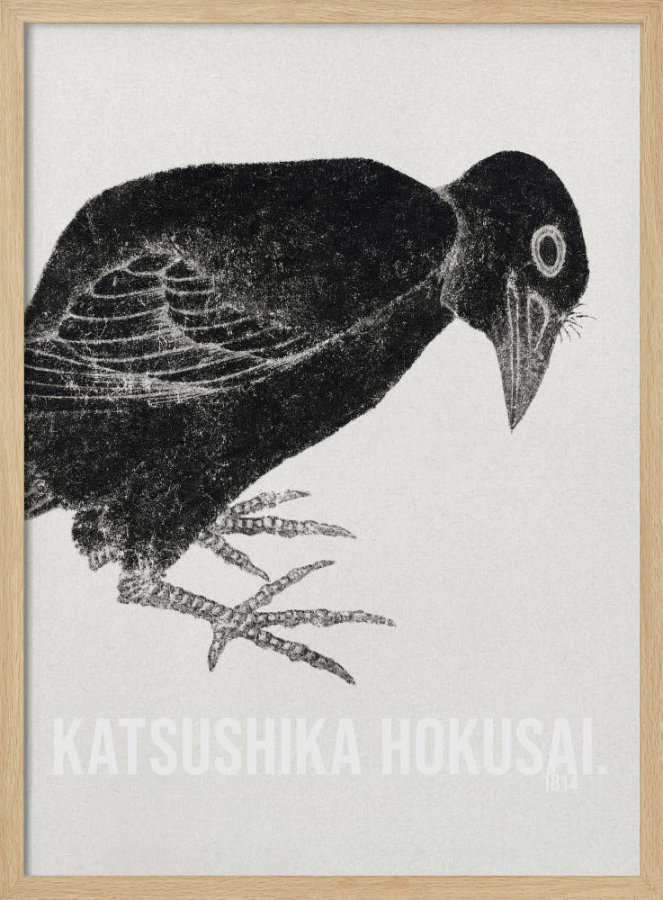 A black and white Japanese woodblock print by Katsushika Hokusai from 1814. The artwork features a stylized black crow with a textured, inky appearance, bending its head down against a light, grainy background. The piece is framed in black. Decor