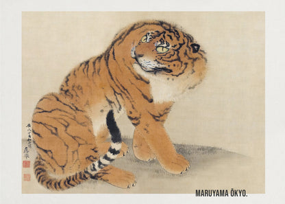 A vintage Japanese painting by Maruyama Ōkyo featuring a fluffy tiger sitting down and looking over its shoulder. The tiger has vibrant orange fur with black stripes and a white ruff. The background is a simple, textured beige paper with Japanese characters on the left. The artist's name is printed in the bottom right corner, and the entire piece is displayed in a silver frame. Print