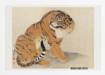 A vintage Japanese painting by Maruyama Ōkyo featuring a fluffy tiger sitting down and looking over its shoulder. The tiger has vibrant orange fur with black stripes and a white ruff. The background is a simple, textured beige paper with Japanese characters on the left. The artist's name is printed in the bottom right corner, and the entire piece is displayed in a silver frame. Print