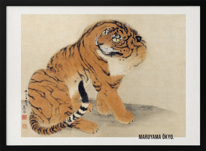 A vintage Japanese painting by Maruyama Ōkyo featuring a fluffy tiger sitting down and looking over its shoulder. The tiger has vibrant orange fur with black stripes and a white ruff. The background is a simple, textured beige paper with Japanese characters on the left. The artist's name is printed in the bottom right corner, and the entire piece is displayed in a silver frame. Print