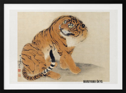 A vintage Japanese painting by Maruyama Ōkyo featuring a fluffy tiger sitting down and looking over its shoulder. The tiger has vibrant orange fur with black stripes and a white ruff. The background is a simple, textured beige paper with Japanese characters on the left. The artist's name is printed in the bottom right corner, and the entire piece is displayed in a silver frame. Print