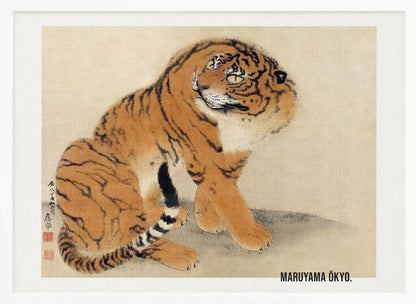 A vintage Japanese painting by Maruyama Ōkyo featuring a fluffy tiger sitting down and looking over its shoulder. The tiger has vibrant orange fur with black stripes and a white ruff. The background is a simple, textured beige paper with Japanese characters on the left. The artist's name is printed in the bottom right corner, and the entire piece is displayed in a silver frame. Print