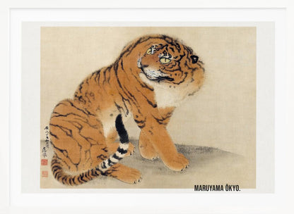 A vintage Japanese painting by Maruyama Ōkyo featuring a fluffy tiger sitting down and looking over its shoulder. The tiger has vibrant orange fur with black stripes and a white ruff. The background is a simple, textured beige paper with Japanese characters on the left. The artist's name is printed in the bottom right corner, and the entire piece is displayed in a silver frame. Print