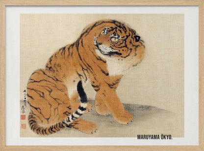 A vintage Japanese painting by Maruyama Ōkyo featuring a fluffy tiger sitting down and looking over its shoulder. The tiger has vibrant orange fur with black stripes and a white ruff. The background is a simple, textured beige paper with Japanese characters on the left. The artist's name is printed in the bottom right corner, and the entire piece is displayed in a silver frame. Print