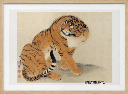 A vintage Japanese painting by Maruyama Ōkyo featuring a fluffy tiger sitting down and looking over its shoulder. The tiger has vibrant orange fur with black stripes and a white ruff. The background is a simple, textured beige paper with Japanese characters on the left. The artist's name is printed in the bottom right corner, and the entire piece is displayed in a silver frame. Print