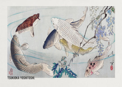 A framed Japanese woodblock print by Tsukioka Yoshitoshi featuring several colorful koi fish swimming in light blue water. A branch with purple wisteria flowers dangles from the top right corner, and the artist's signature is visible. Decor