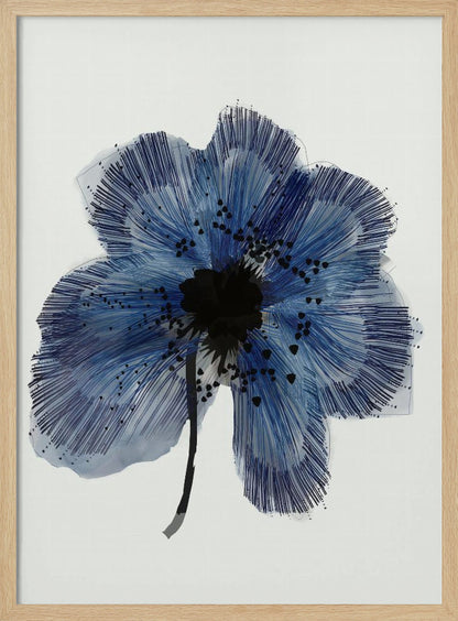 A framed modern illustration of a single large blue flower on a white background. The flower's petals are rendered with a combination of light blue watercolor wash and fine, radiating dark blue lines, creating a sense of texture. The center of the flower is a solid black mass, with smaller black shapes scattered across the petals, and it has a thin black stem. Wall Art